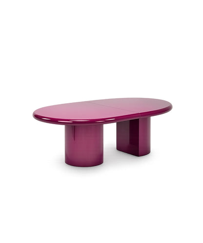 Modern Oval Dining Table
